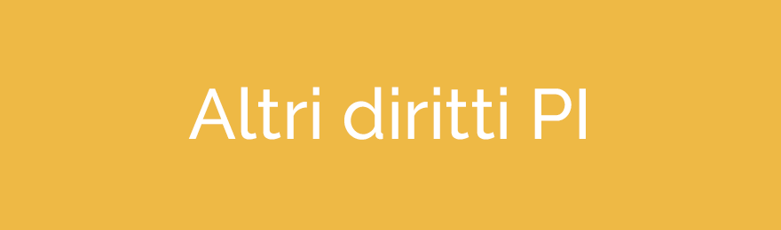 Altri Diritti IP